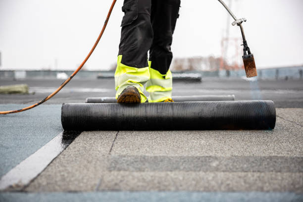 Best Roof Moss and Algae Removal  in Newell, WV